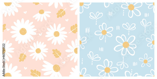 Seamless patterns with cute hand drawn daisy flower on pink and blue backgrounds vector illustration. 