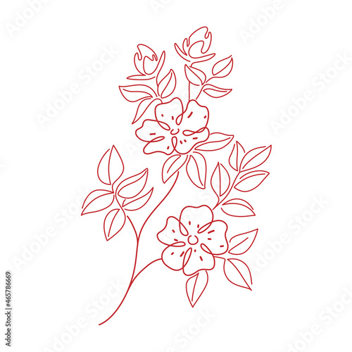 Dogrose flower contour vector illustration.