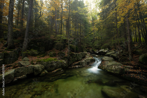 waterfall in the forest