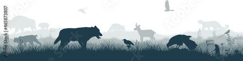 Seamless panorama of the prarie with grey wolf, pronghorn, kite, bobcat, fox, western meadowlark , heron, scissor-tailed Flycatcher, Prairie dog and brown zubr buffalo bison