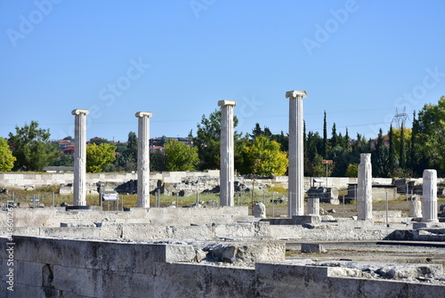 archeological site in Pella in Greece