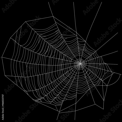 Spider web. White threads. Vector illustration