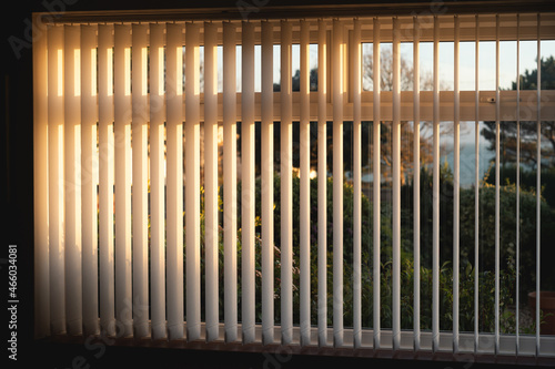 Vertical blinds with a golden glow as the sun sets.There is a tree and a view of the sea through the window.