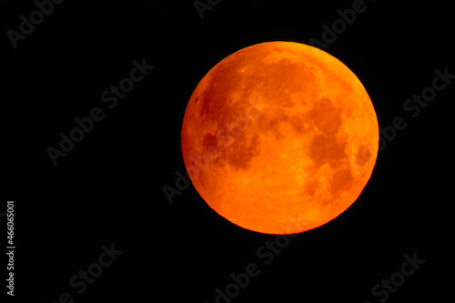 Flower blood full moon in May shortly before the lunar eclipse with red color
