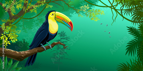 Giant Toucan sitting on a branch in a rainforest.