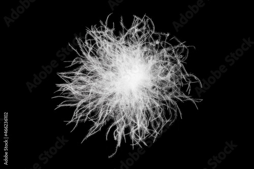 close up of a white down feather on black background.