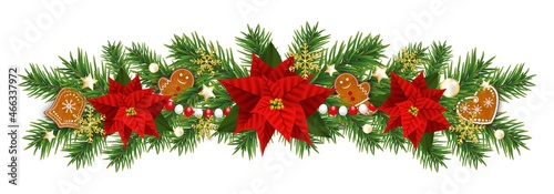 Christmas border decorations garland with fir branches and gingerbread cookies, golden snowflakes, Christmas flowers poinsettia and beads. Design element for Xmas on white background.