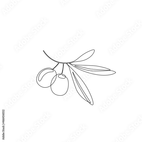 Olive leaves in continuous line art drawing style