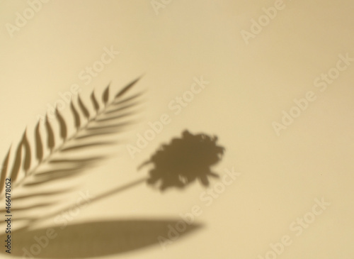 Exotic flower and palm leaf shadows against pastel yellow background. Minimal summer composition, travel and vacation inspiration. Copy space.