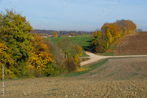 Landwirtschaft im Herbst: Feldwege kreuzen zischen herbstlichen Hecken (Schutz gegen Boden-Erosion) und Äckern