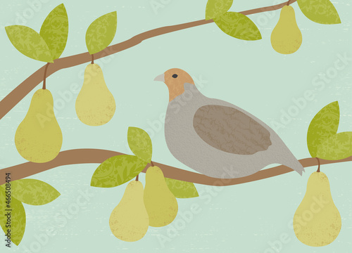 Textured partridge in a pear tree, in a cut paper style 