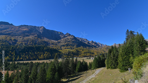 Paesaggio di alta montagna, in ottobre, con larici autunnali colorati di giallo e arancione, intervallati da pini verdi 