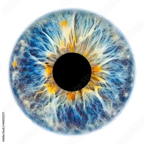 Blue eye iris pupil vector illustration isolated