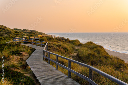 Wooden path to the Beach - Kampen, Sylt