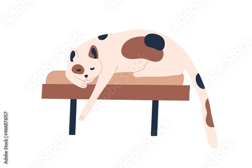 Cute cat sleeping, lying on chair. Adorable kitty resting on comfortable home furniture. Feline animal asleep in comfort. Flat vector illustration of relaxing kitten isolated on white background