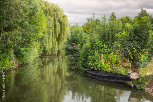 One of the navigable canals of the picturesque marshlands of the Regional Natural Park of the Marais Poitevin, with rowboats and weeping willows on the water