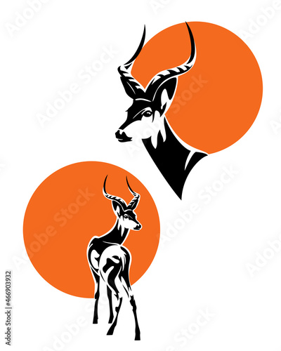 wild african antelope portrait with orange sun circle - impala profile head and standing animal vector design set