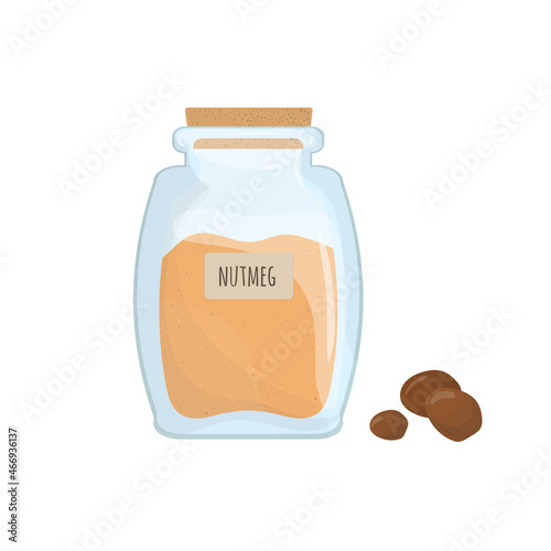 Ground nutmeg stored in clear jar isolated on white background. Piquant condiment, food spice, cooking ingredient in transparent kitchen container. Colored vector illustration.