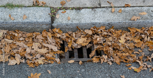 Verstopfter Gullydeckel mit Herbstblättern an einer Straße