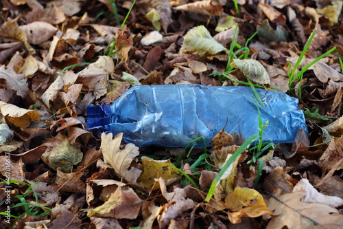 Plastikowa butelka w lesie jako przykład śmieci