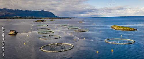 Salmon fish farm aquaculture blue water. Aerial top view.