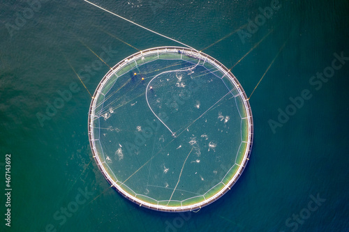 Salmon fish farm aquaculture blue water. Aerial top view.