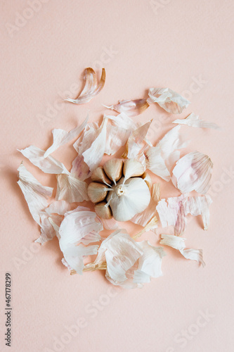 Fresh garlic on a pink background, close-up. Organic garlic top view. Natural antiviral agent, spices and seasonings concept.