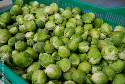 Brukselka przygotowania do sprzedaży na targu / Brussels sprouts preparing for sale at a market