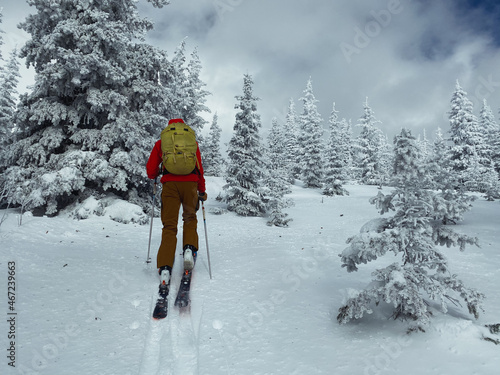 Person backcountry skiing in the trees