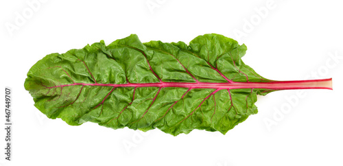 Top view of rhubarb isolated on white background