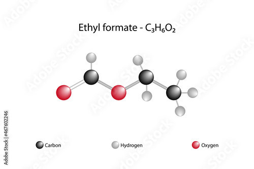 Molecular formula of ethyl formate. Ethyl formate is an ester formed when ethanol reacts with formic acid. It has the smell of rum. It occurs naturally in the body of ants and in the bites of bees.