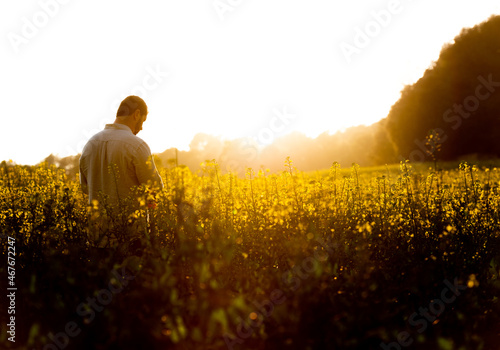 Middle-aged man with his arms open facing the sun, in an attitude of gratitude in a field of wild flowers