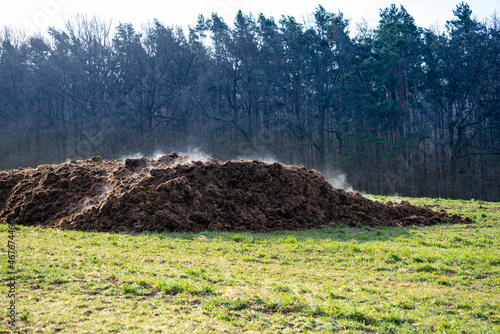 A pile of cow dung as a symbol of methane pollution of the atmosphere. The strongest greenhouse gas leading to climate change