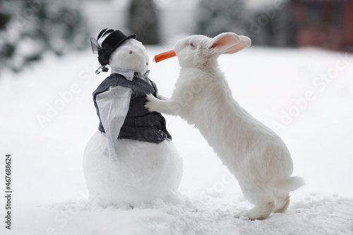 White rabbit and snowman. Rabbit and red carrots. White hare on the street in winter. The rabbit stands on its hind legs in the snow outside.