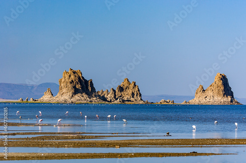 Lake Abbe Djibouti landscape with flamingos