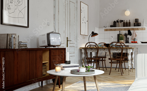 Old vintage retro parisian mid century apartment interior