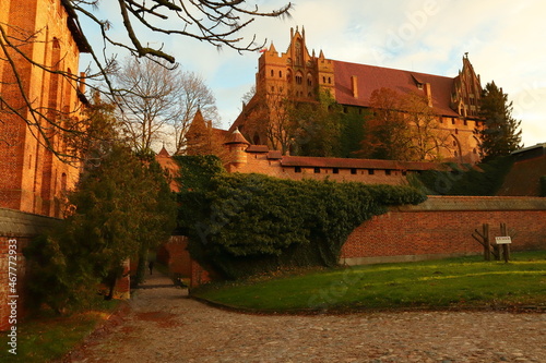 Zamek, czerwona cegła, mury, gotyk, deszcz, Malbork