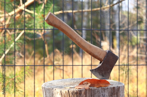 Siekiera wbita w pień. An ax stuck in a stump.