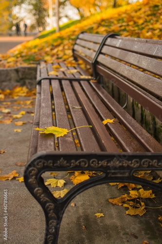 A yellow maple leaf lies on an old wooden bench.
