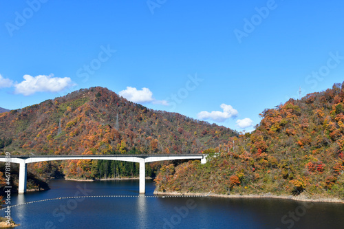 秋 山形長井ダム湖 ながい百秋湖