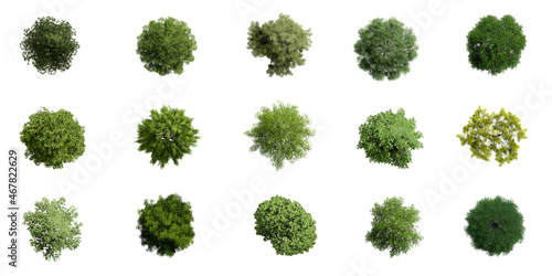 Collection of 3D Top view Green Trees Isolated on white background , Use for visualization in architectural design or garden decorate