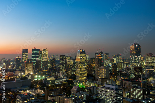 Panoramic view of Tokyo cityscape at night.
