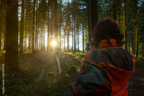 Schöner Tannenwald bei tiefstehender Sonne