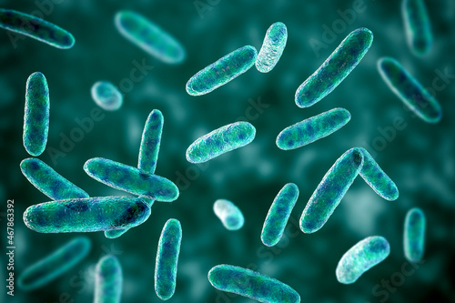 Bacteria Citrobacter, Gram-negative coliform bacteria from Enterobacteriaceae family, 3D illustration