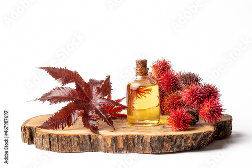 Castor oil bottle with castor fruits, seeds and leaf. Ricinus Communis plant oil. Turkish name; hint yagi