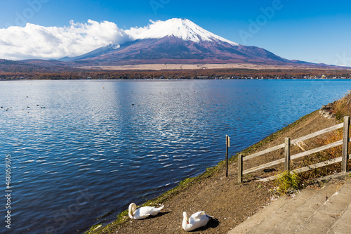 (山梨県ｰ風景)青空と富士山４