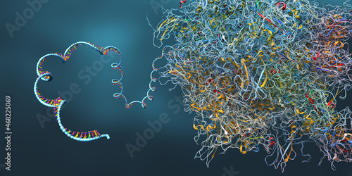 Ribosome as part of an biological cell constructing messenger rna molecules - 3d illustration