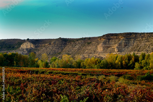 Viñedos durante el Otoño en la zona de El Ciego, La Rioja