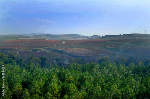 Viñedos durante el Otoño en la zona de Haro, La Rioja