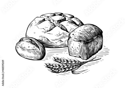 Bread vector hand drawn set illustration. Other types of wheat, flour fresh bread. Gluten food bakery engraved collection